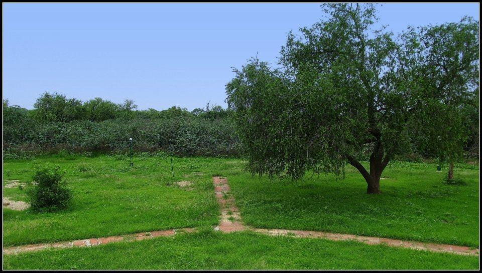 Hotel Bharatpur Ashok Zewnętrze zdjęcie
